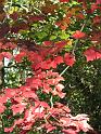 2008-10-11_Tiverton_Trustom 079